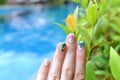 Trendy summer manicure flamingoes palm leaves swimming pool