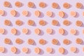 Trendy summer pattern with orange lemon slices on bright pink background. Minimal summer concept. Wallpaper, sale, discount, Royalty Free Stock Photo