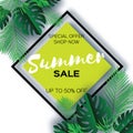 Trendy Summer Sale Template banner. Paper cut art Tropical palm leaves, plants. Exotic. Hawaiian. Space for text