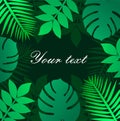 Trendy Summer Tropical Leaves Vector illustration background Design