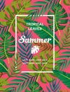 Trendy Summer Tropical Leaves Vector Design.