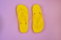 Trendy sunlight Summer composition. Beach flip-flops on a pink background.