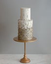 Trendy Tall 2 Tier Wedding Cake With Metallic Texture Royalty Free Stock Photo