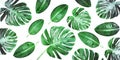 Trendy tropical leaves composition