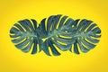 Trendy tropical leaves composition