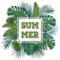 Trendy tropical leaves design. Botanical vector illustration. Summer theme