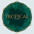 Trendy Tropical Leaves Vector Design.