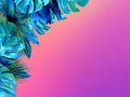 Trendy turquoise colored close up of various tropical leaves on bright pink and violet background