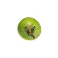 Trendy ugly food concept. Green funny apple with eyes isolated on white background. Fruit with a strange shape.