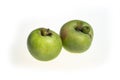 Trendy ugly food concept. Two green apples isolated on white background. Fruit with a strange shape.