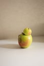 Trendy ugly food.Two Siamese apples joined together on a white table.Funny, unnormal fruit or food waste concept. Royalty Free Stock Photo