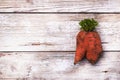 Trendy ugly organic carrot from home garden on barn wood table