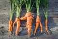 Trendy ugly organic carrot