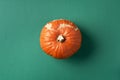 Trendy ugly organic vegetables. Pumpkin on green background. Cooking ugly food concept. Top view