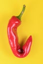 Trendy Ugly red chilli peppers on yellow background, minimal nature style, pop-art, creative food concept