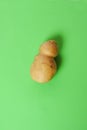 Trendy Ugly Vegetables Potato Isolated On Green.