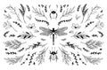 Trendy vector insects and floral branches line drawings. Black silhouette elements. Wild leaves and greenery illustrations. Bugs Royalty Free Stock Photo