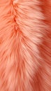 Trendy vibrant Peach fur texture. Fashionable color. Dyed animal fur. The Concept of Softness, Comfort and Luxury. Can