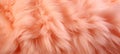 Trendy vibrant Peach fur texture. Fashionable color. Dyed animal fur. Concept of Softness, Comfort and Luxury. Can be