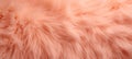 Trendy vibrant Peach fur texture. Fashionable color. Dyed animal fur. Concept of Softness, Comfort and Luxury. Ideal for