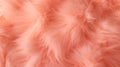 Trendy vibrant Peach soft fur texture. Fashionable color. Dyed animal fur. Concept is Softness, Comfort and Luxury. Can