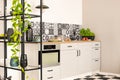 White kitchen interior with elegant wooden cupboards and kitchen accessories