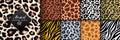 Trendy wild animal seamless pattern collection. Vector leopard, cheetah, tiger, giraffe, zebra skin texture set for fashion print Royalty Free Stock Photo