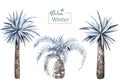 trendy winter palm tree. Watercolor botanical isolated illustration on white background