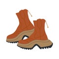 Trendy women brown leather ankle boots vector.