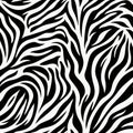 Trendy zebra pattern seamless vector background, perfect for fashion and modern design projects. Royalty Free Stock Photo