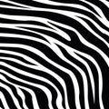 Trendy zebra skin pattern background vector. Royalty Free Stock Photo