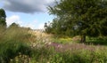 Trentham Hall Remains from Piet Oudolf`s Floral Labyrinth 1