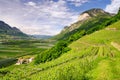 Trentino Royalty Free Stock Photo