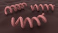 Treponema pallidum under a microscope. Bacterium which causes syphilis, close-up view. 3D-rendering.