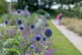 Trerice garden cornwall england uk. People