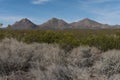 Tres Hermanas mountain range in southwest New Mexico and desert brush.