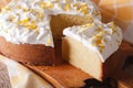 Tres leches cake sliced close-up. horizontal Royalty Free Stock Photo