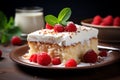 Tres Leches Cake tasty dessert background Royalty Free Stock Photo