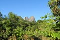 Tres Picos Park, Atlantic Rainforest, Brazil Royalty Free Stock Photo