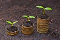 Tress growing on coins Royalty Free Stock Photo
