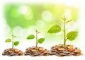 Tress growing on coins Royalty Free Stock Photo