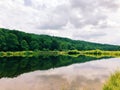 Tress reflection on the water