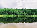 Tress reflection on the water