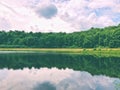 Tress reflection on the water