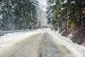Tress with snow and dangerous winter road
