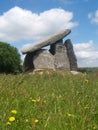 Trethevy Quoit Royalty Free Stock Photo