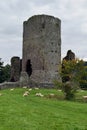 Tretower Castle, Powys, Wales, UK Royalty Free Stock Photo