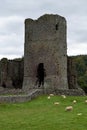 Tretower Court and Castle, Powys, Wales, UK Royalty Free Stock Photo