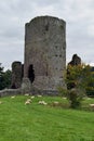 Tretower Court and Castle, Powys, Wales, UK Royalty Free Stock Photo