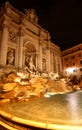 The Trevi fountain at night Royalty Free Stock Photo